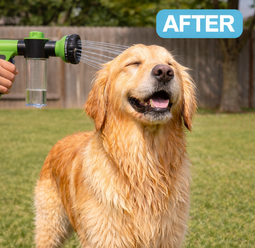 Wash Your Dog in 5 Minutes - No Mess, No Stress